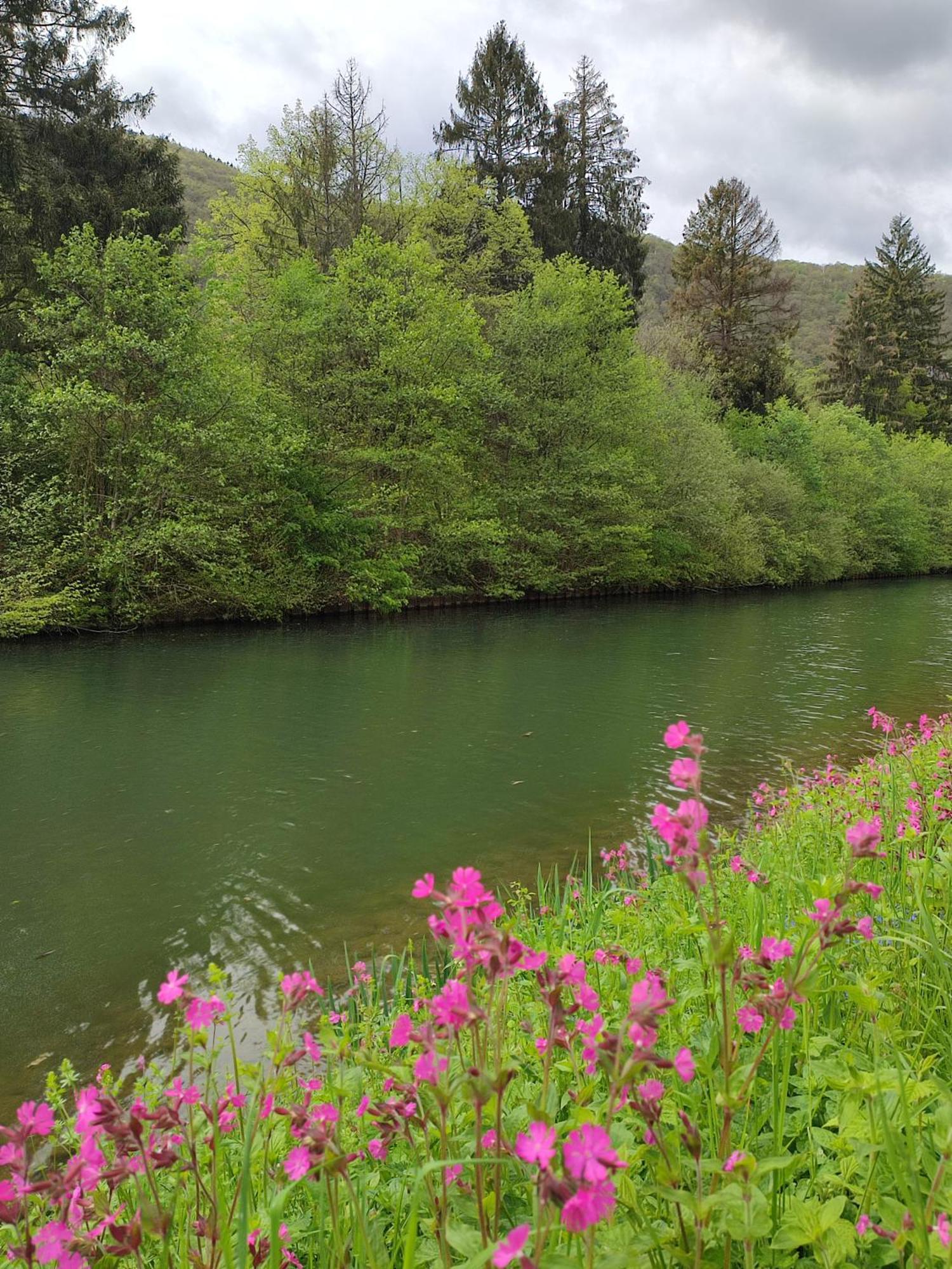 Entre Meuse Et Foret Revin  ภายนอก รูปภาพ