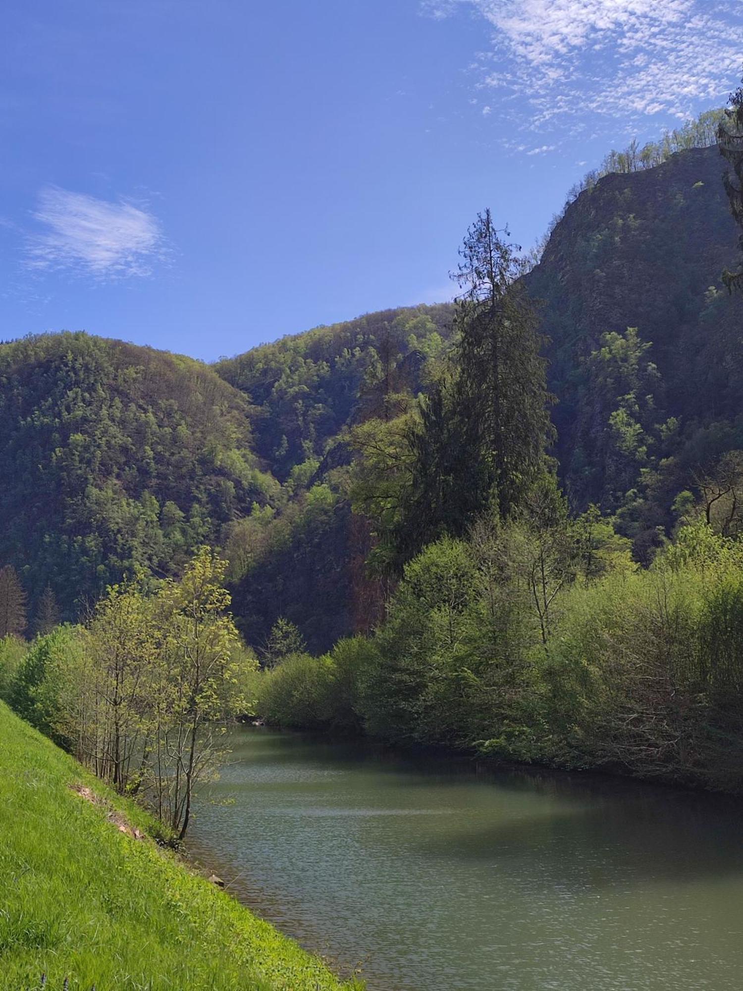 Entre Meuse Et Foret Revin  ภายนอก รูปภาพ